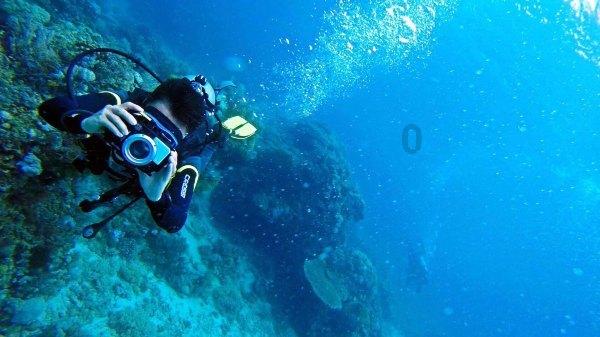 张成珠：聚民意 惠民生 一腔热忱为群众